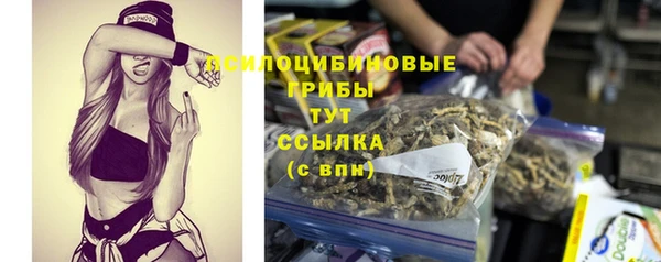 не бодяженный Алзамай