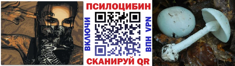 mega tor  Отрадная  Псилоцибиновые грибы MAGIC MUSHROOMS 